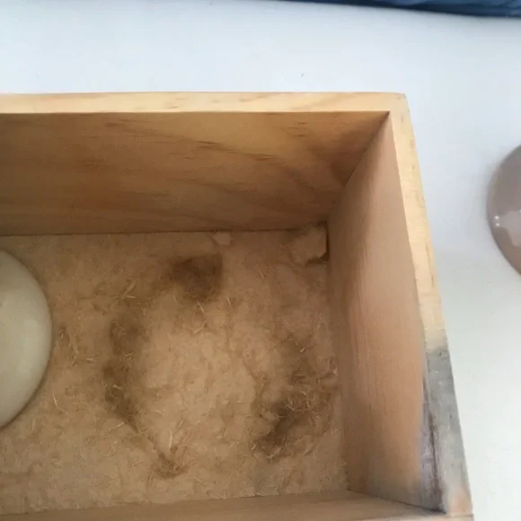 COPY - April Cornell oil and vinegar tapas set - Picture 11 of 16